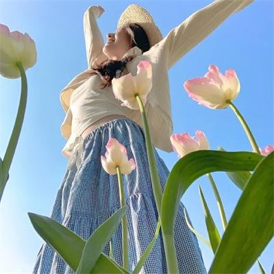 金鱼俱乐部 海报