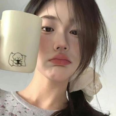 悍妻理论 海报